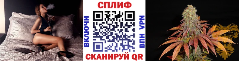 блэк спрут зеркало  Могоча  Шишки марихуана ГИДРОПОН 